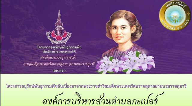 รณรงค์อนุรักษ์พันธุกรรมพืช